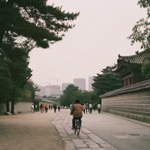 Exploring Seoul by Bike: Routes, Cafés & Culture Stops