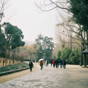 What 30 Minutes of Walking Really Does for You