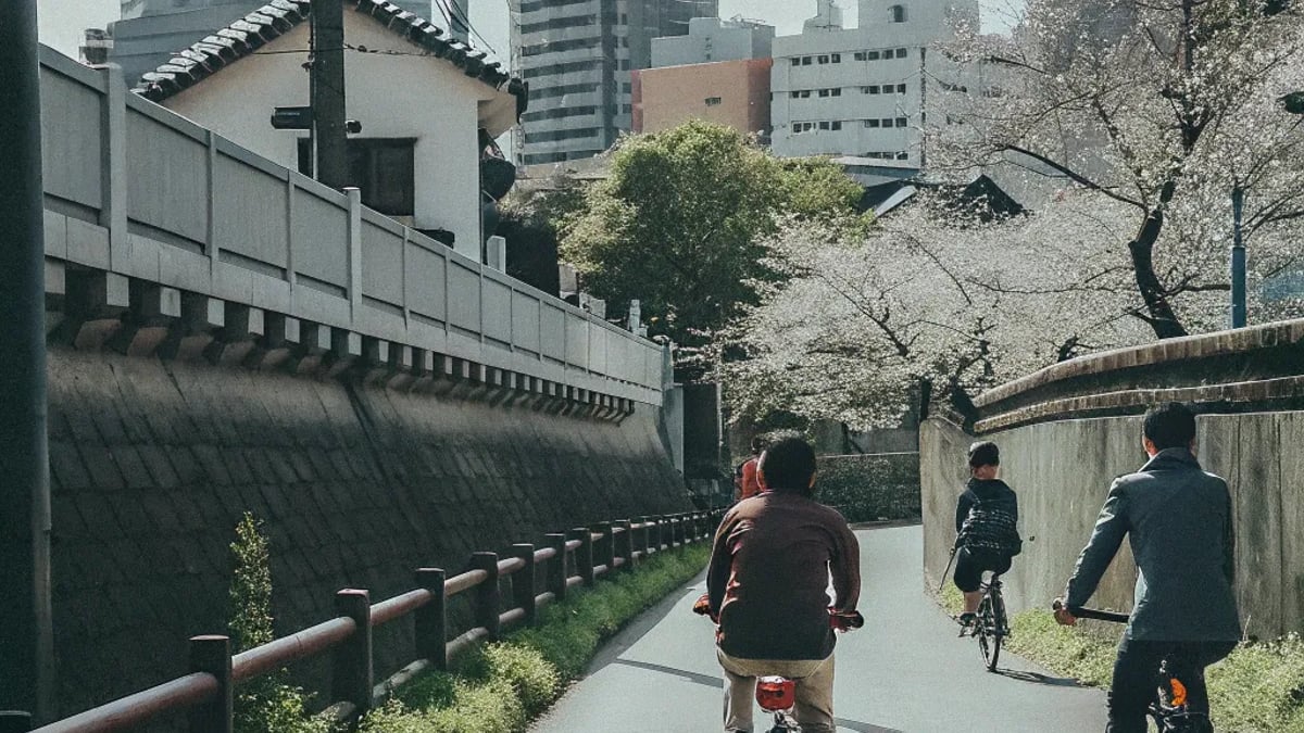 Hidden Bike Paths in Tokyo for Urban Adventurers